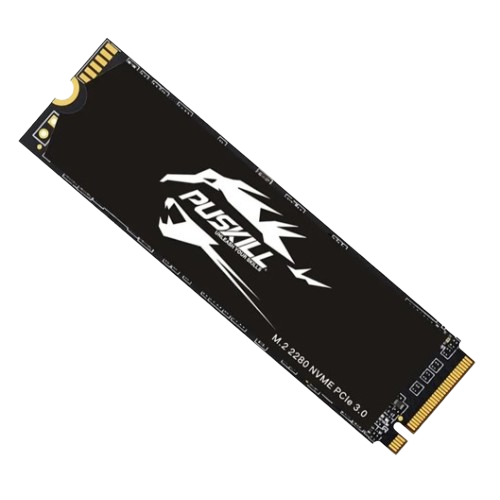 PUSKILL M.2 NVMe SSD