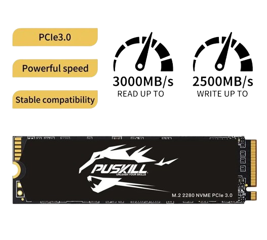 PUSKILL M.2 NVMe SSD