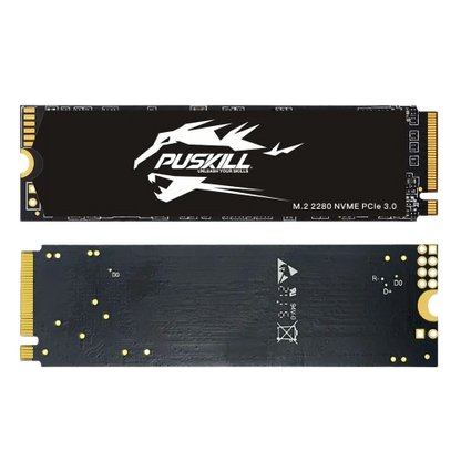 PUSKILL M.2 NVMe SSD